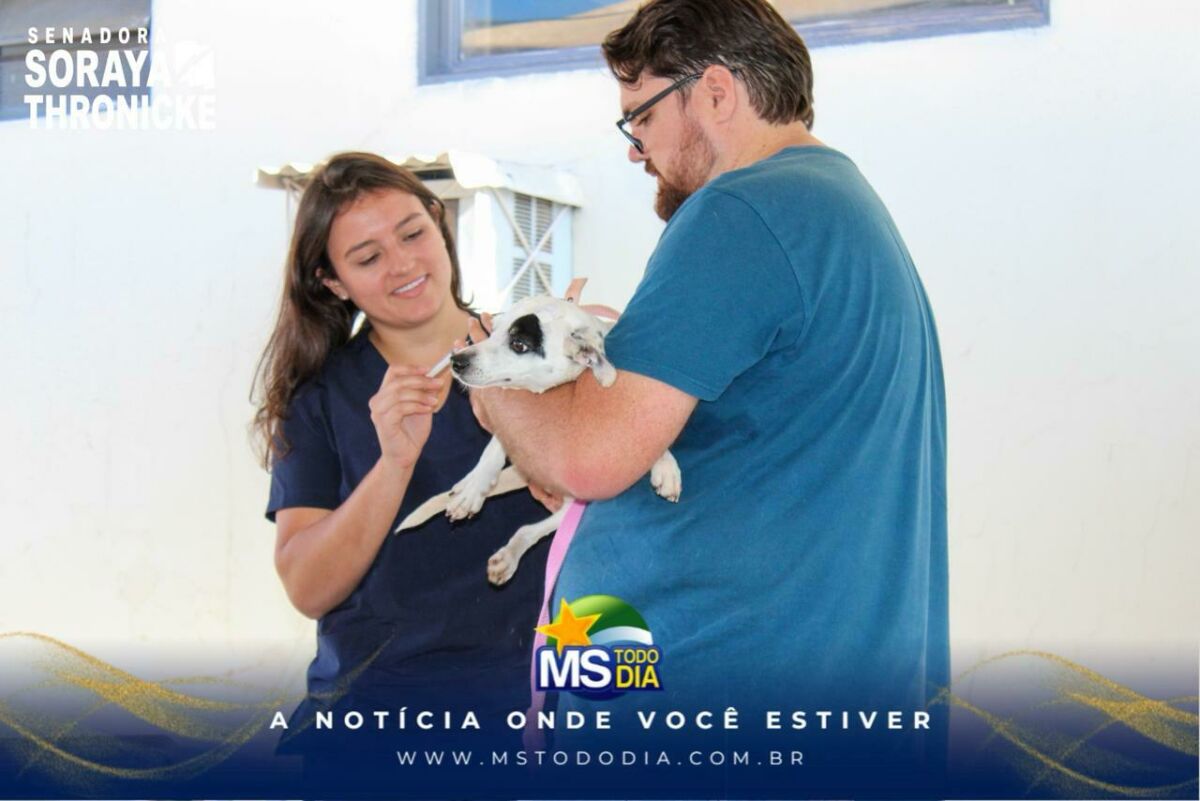 Imagem da Galeria